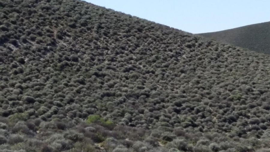 0 Bedroom Property for Sale in Calvinia Rural Northern Cape